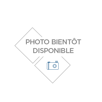 COMPTEUR MECANIQUE B100 K33